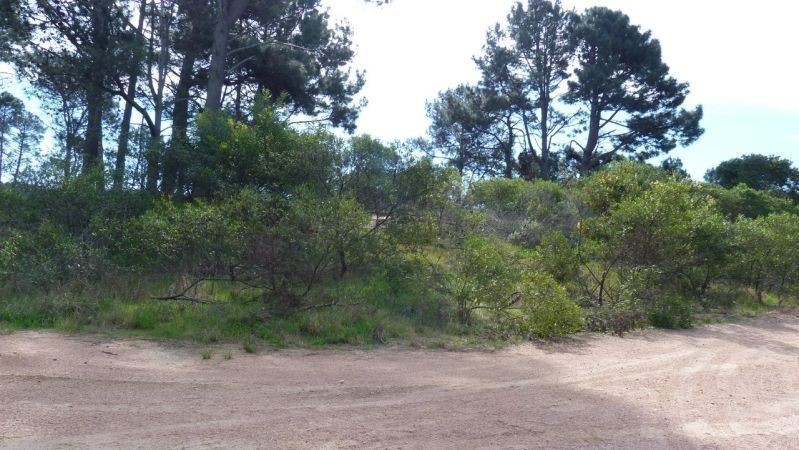 Terreno Chihuahua pad 565 - foto 2