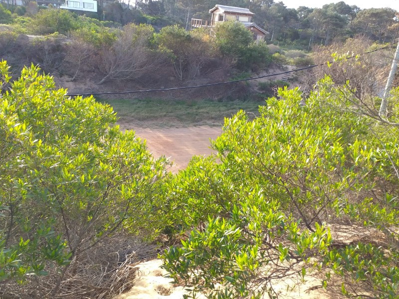 Terreno Chihuahua padrón 774 y 775 - foto 3
