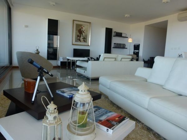 Blue Bird 308 - foto 10