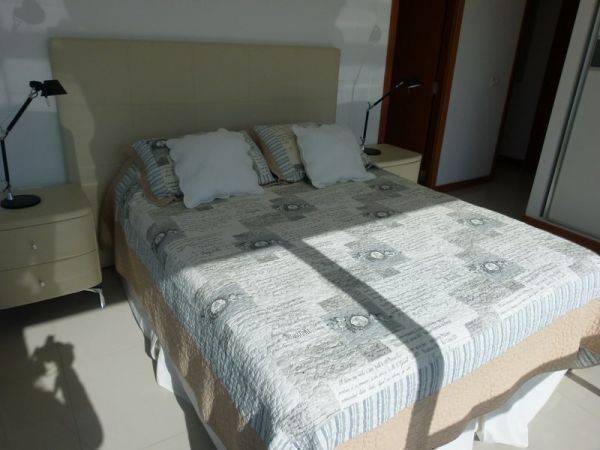 Blue Bird 308 - foto 16