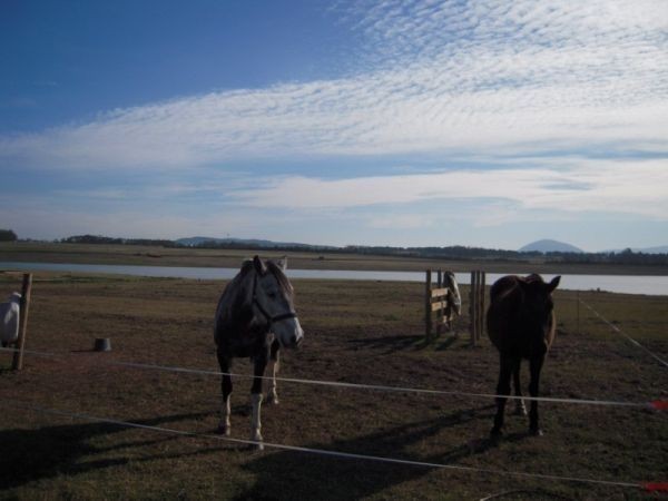 Laguna de los cisnes T18 - foto 14