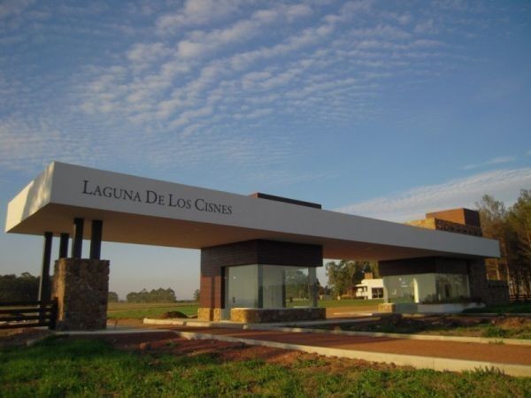 Laguna de los cisnes T18