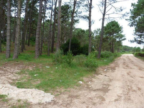 Terreno Chihuahua Levi - foto 3