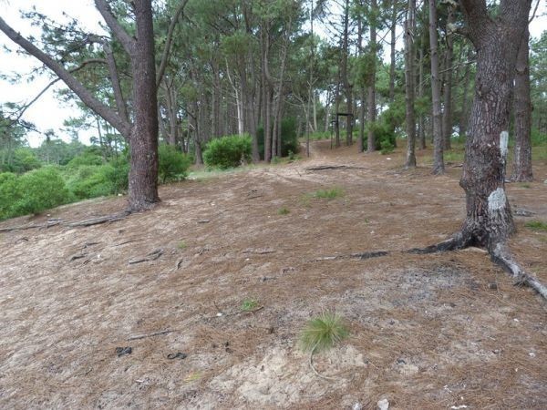 Terreno Chihuahua Levi - foto 4