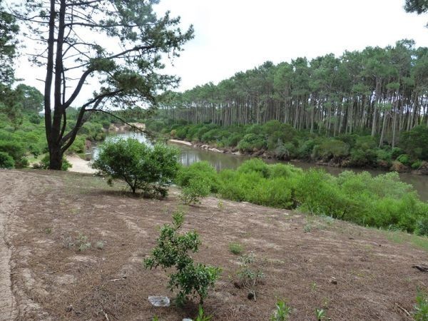 Terreno Chihuahua Levi 601 - foto 5