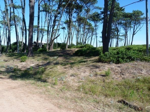 Terreno en Chihuahua padrón 336 - foto 5