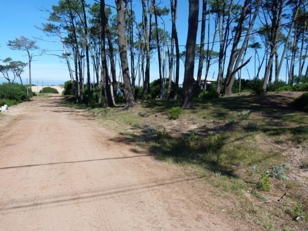 Terreno en Chihuahua padrón 336 - foto 2