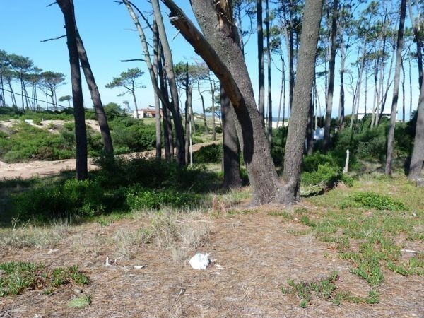 Terreno en Chihuahua padrón 336 - foto 3