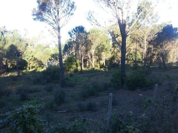 Terreno Vileta de los Corchos padrón 25726 - foto 2