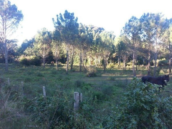 Terreno Vileta de los Corchos padrón 25726 - foto 5