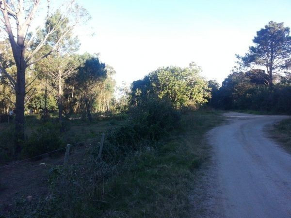 Terreno Vileta de los Corchos padrón 25726 - foto 4