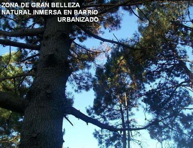Terreno Vileta de los Corchos padrón 25726 - foto 6