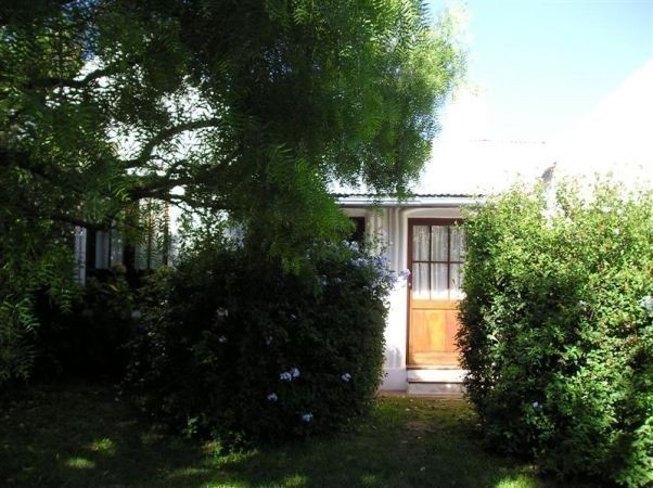 Barramansa - foto 26