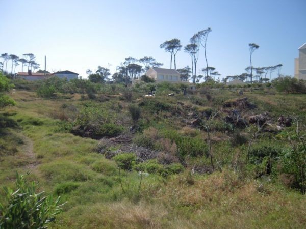 Terreno de Joel, Pda 31 Mansa - foto 11