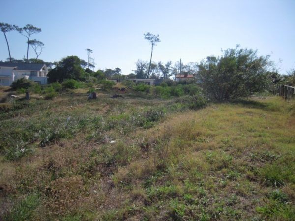 Terreno de Joel, Pda 31 Mansa - foto 5