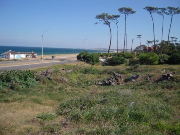 Terreno de Joel, Pda 31 Mansa - foto 10