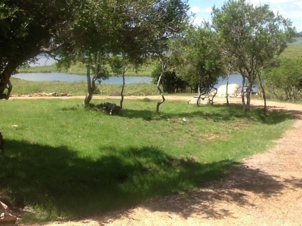 Chacra Terracabo - foto 4