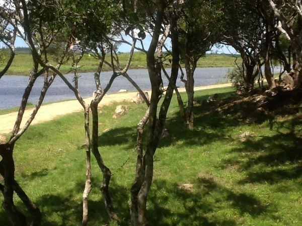 Chacra Terracabo - foto 9