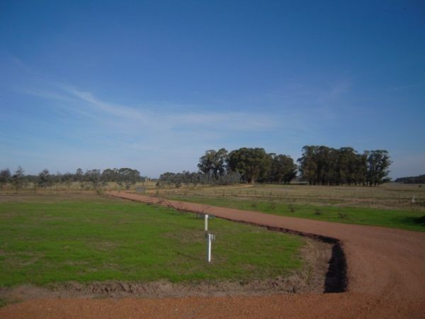 Terreno en Laguna de los Cisnes lotes T9 y T10 - foto 18