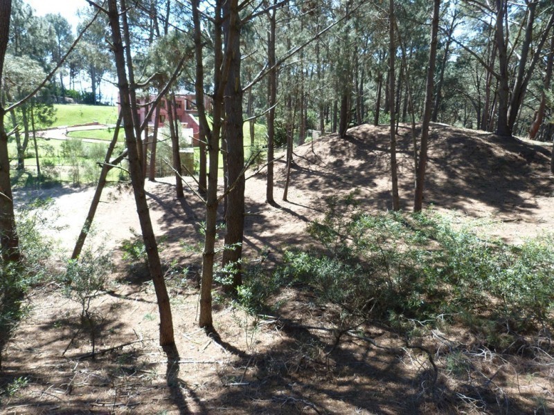 Terreno en Club del Lago padrón 2635 - foto 5