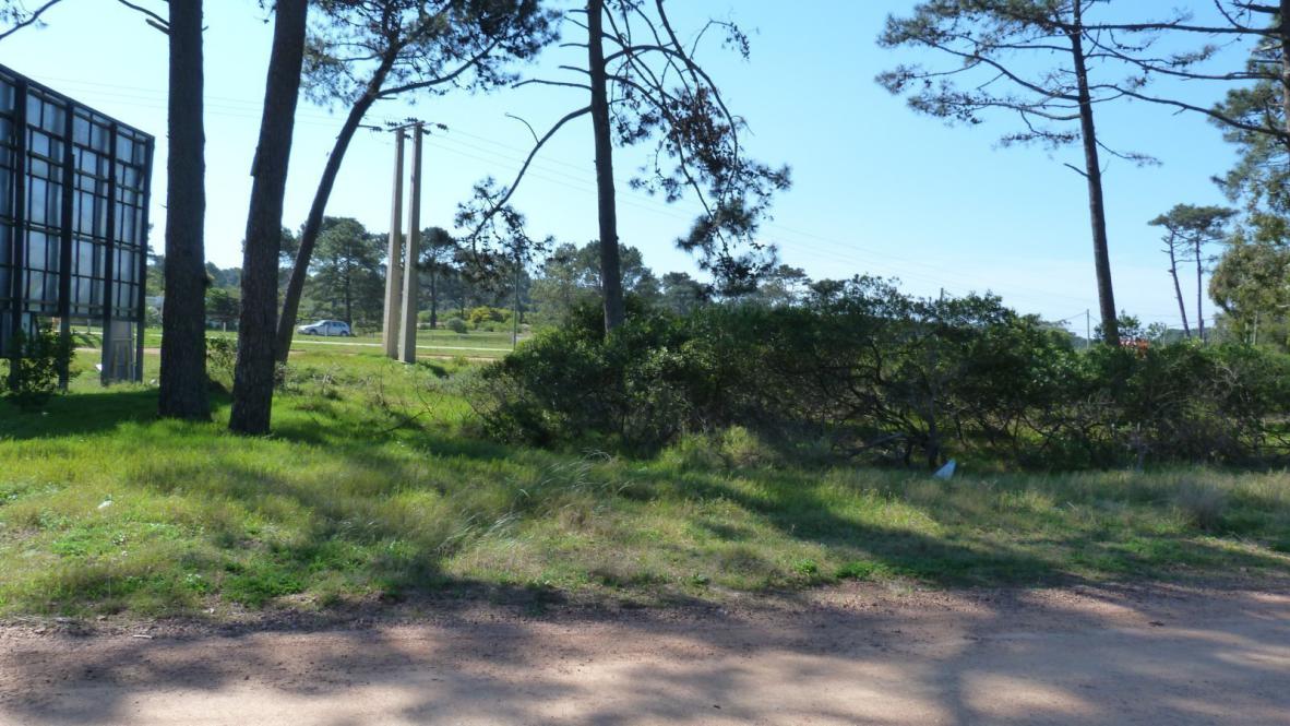 Terreno en Tío Tom padrón 1634