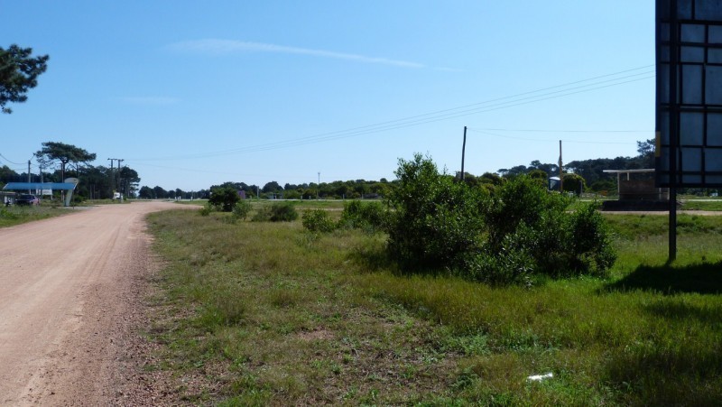 Terreno en Tío Tom padrón 1634 - foto 2