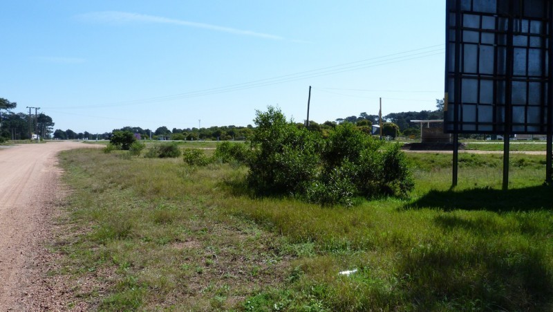 Terreno en Tío Tom padrón 1634 - foto 4