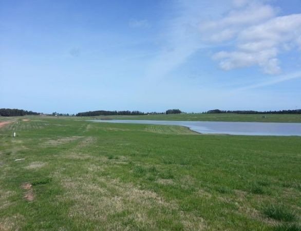 Laguna de los Cisnes M p lote 2 - foto 6