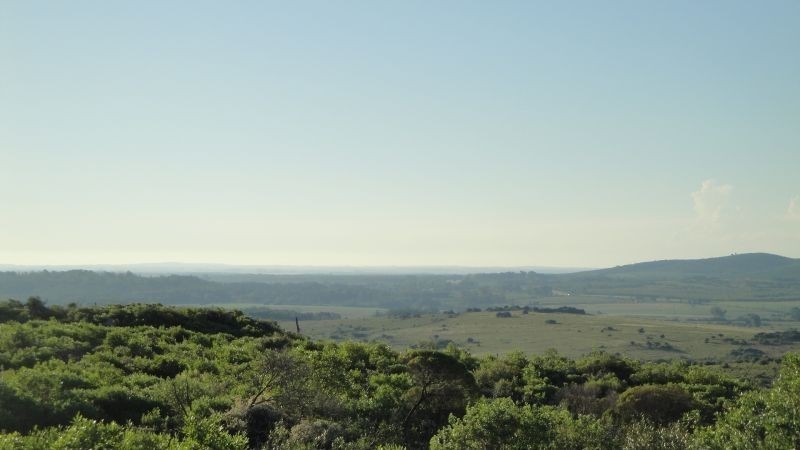Chacra del cerro - foto 2