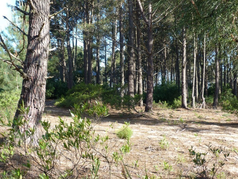 Terreno en Chihuahua padrón 621 - foto 6