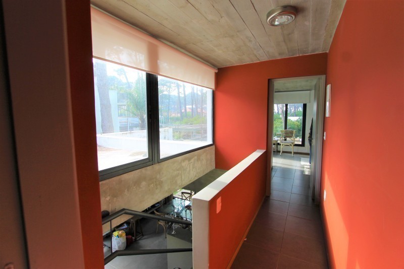 Jacinto - foto 17