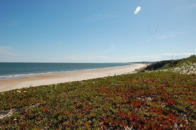 Anker - foto 18