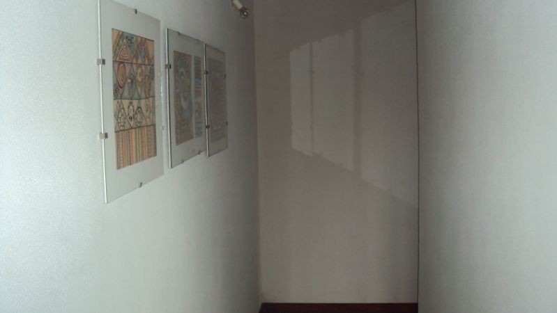 Erizos 4 - foto 11