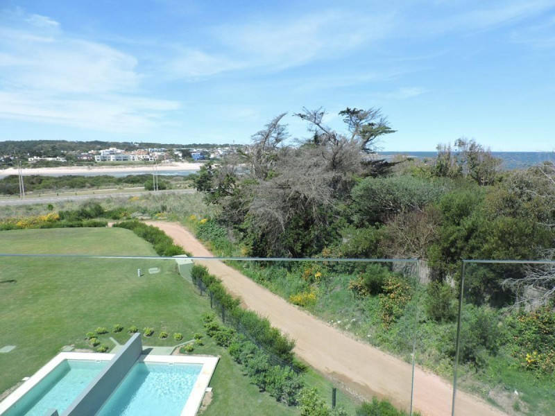 Tiburon Terraza Barra 201
