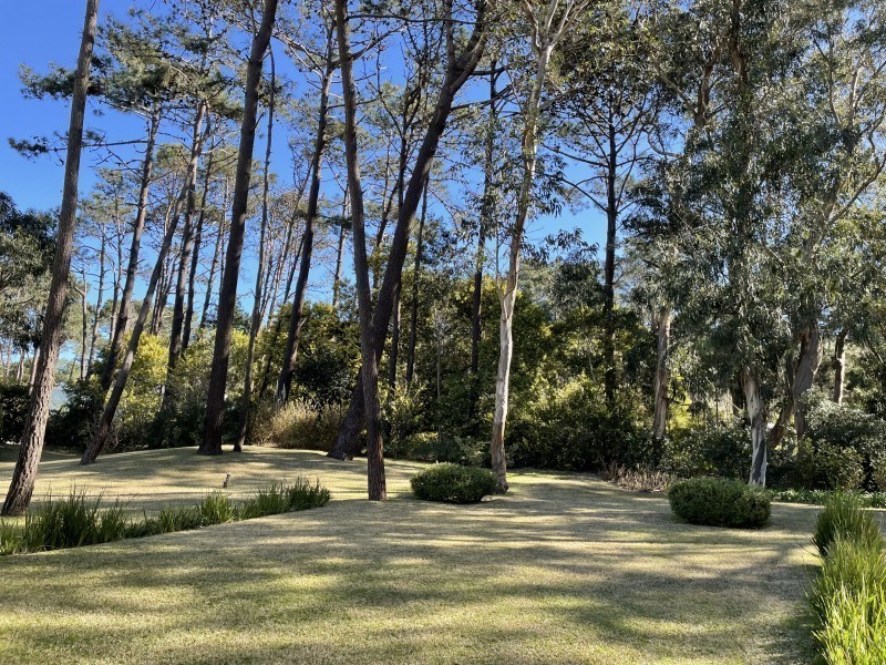 Luisa - Laguna Blanca - foto 27