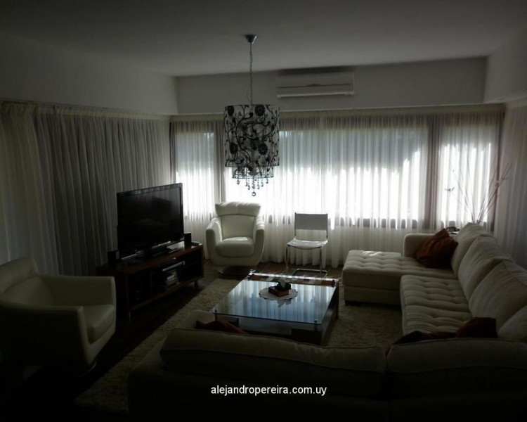 Ilusionadora colega exclusividad - foto 3