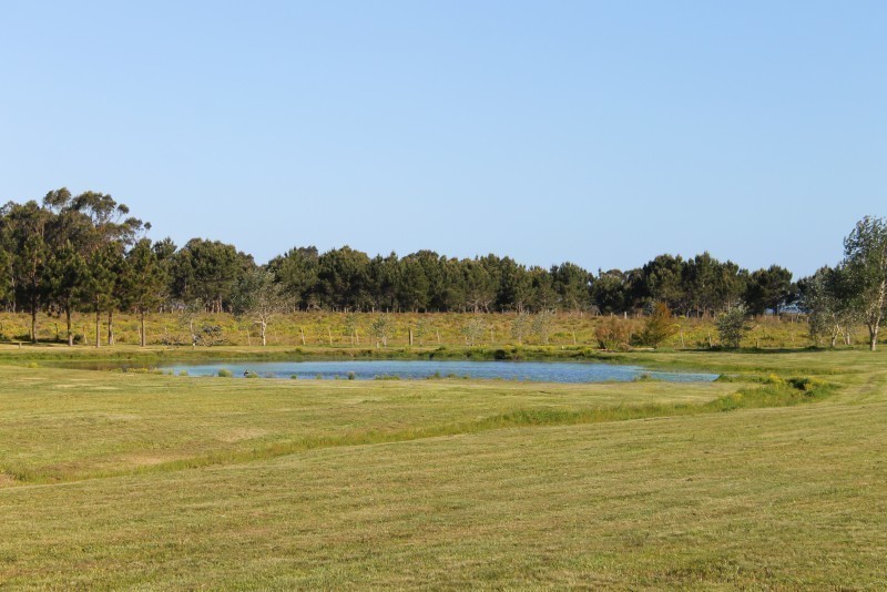 Chacra Rancho Daliah - foto 21