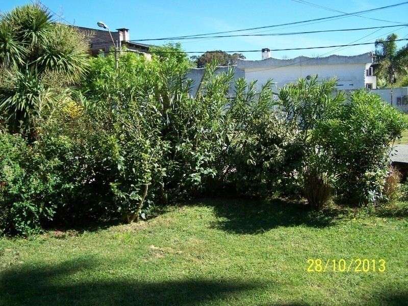 Garfield - foto 19