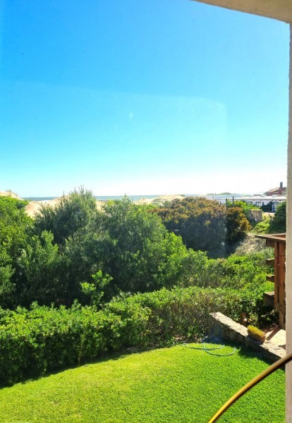Lupe - foto 3