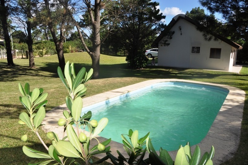Juanchi - foto 5