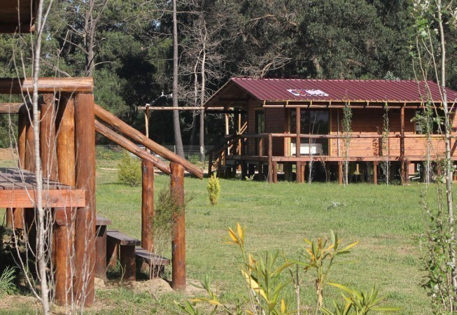 Loto del Bosque - foto 3