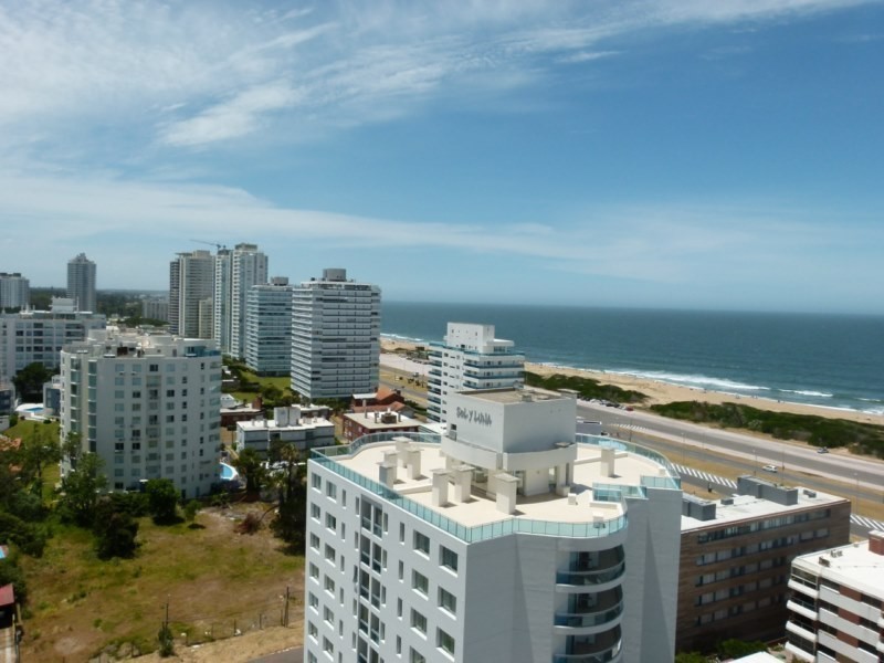 Icon Brava 1401 - foto 17