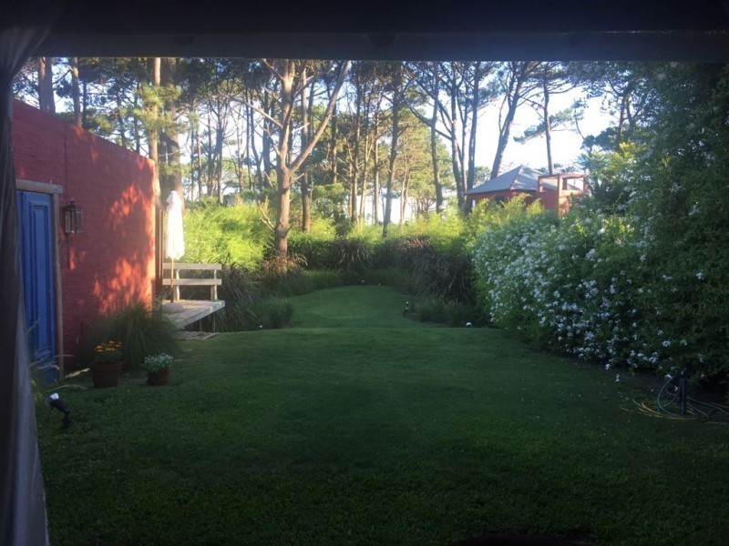 Graminea - foto 27