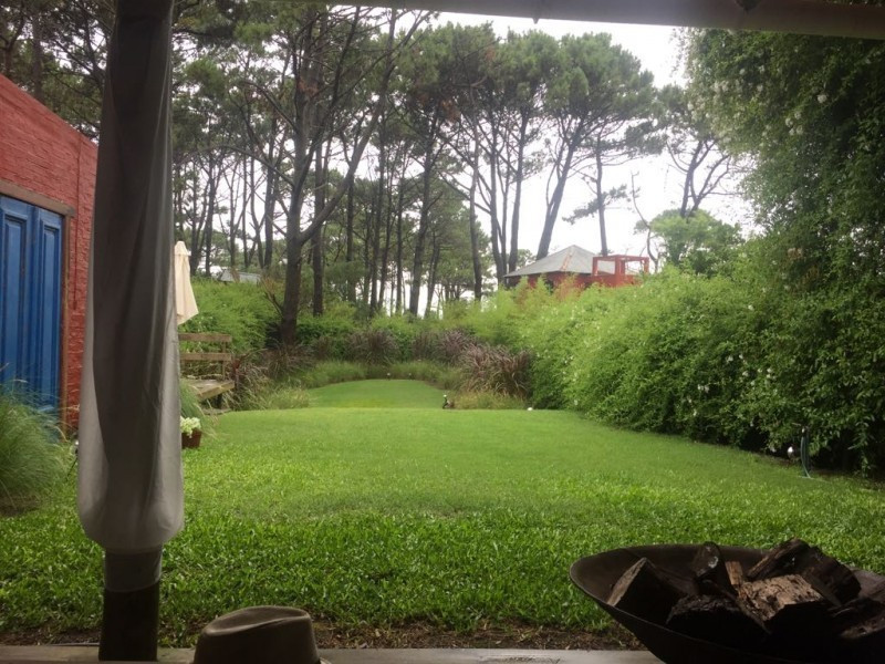 Graminea - foto 25