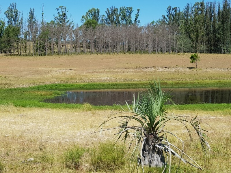 Chacra Ruta 12, km 14,5 (Padron 19500) - foto 6