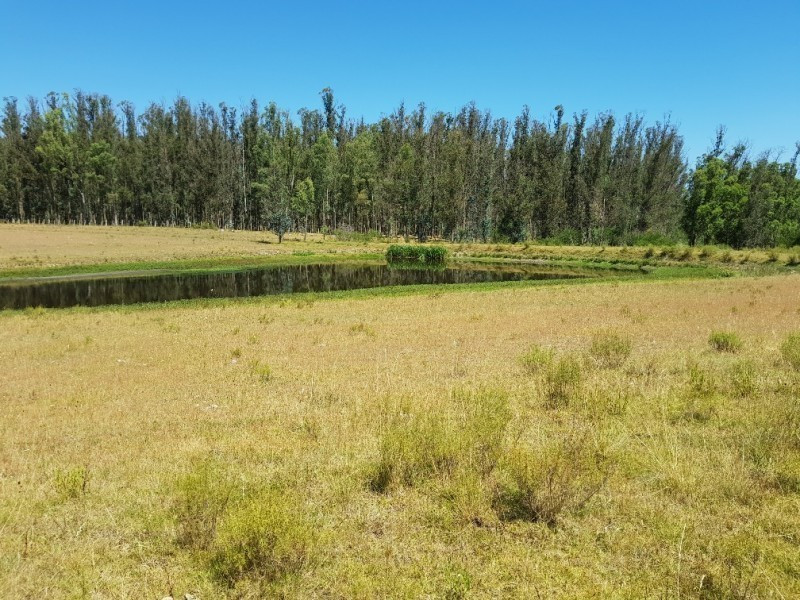 Chacra Ruta 12, km 14,5 (Padron 19500) - foto 4