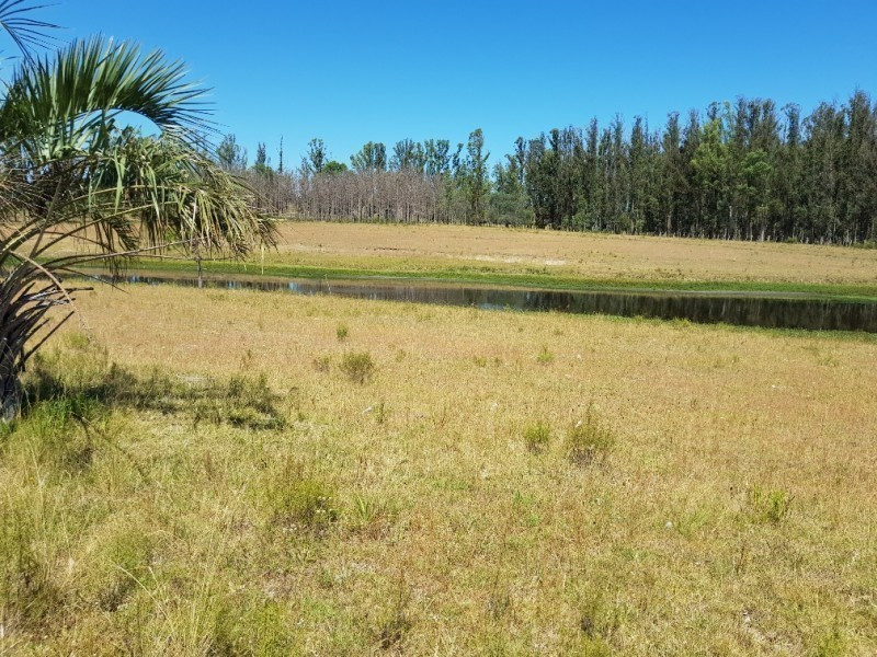 Chacra Ruta 12, km 14,5 (Padron 19500) - foto 3