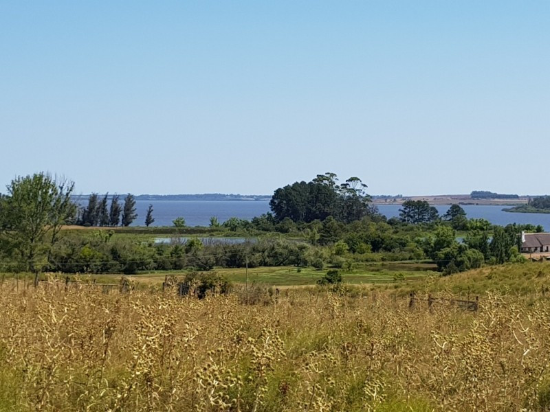 Chacra Ruta 12, km 14,5 (Padron 19500) - foto 8