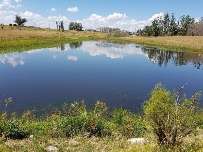 Chacra Ruta 12, km 14,5 (Padron 19500)