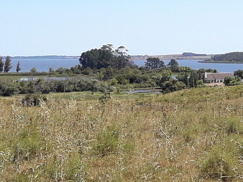 Chacra Ruta 12, km 14,5 (Padron 19500) - foto 2